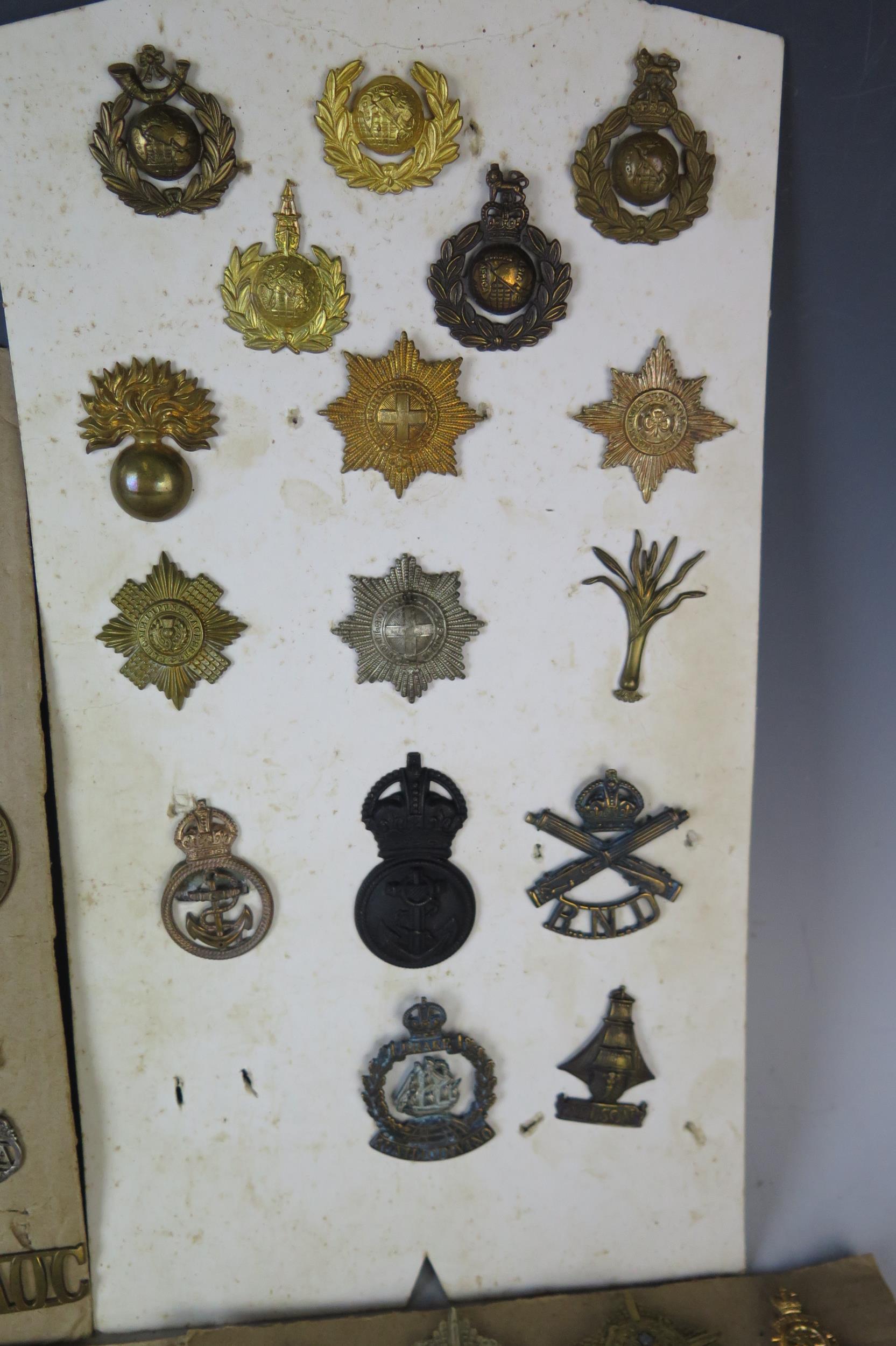 Collection of Military Cap Badges including R.N.D., Royal Marines, Navy, Scottish King's - Image 4 of 7