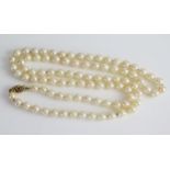 A 29.5" Matched Pearl Necklace with a 9ct gold double sided clasp set with two rubies or spinels