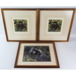 David Shepherd, Baby Gorilla, Ltd Edn print signed in pencil by the artist No 373/1500, another