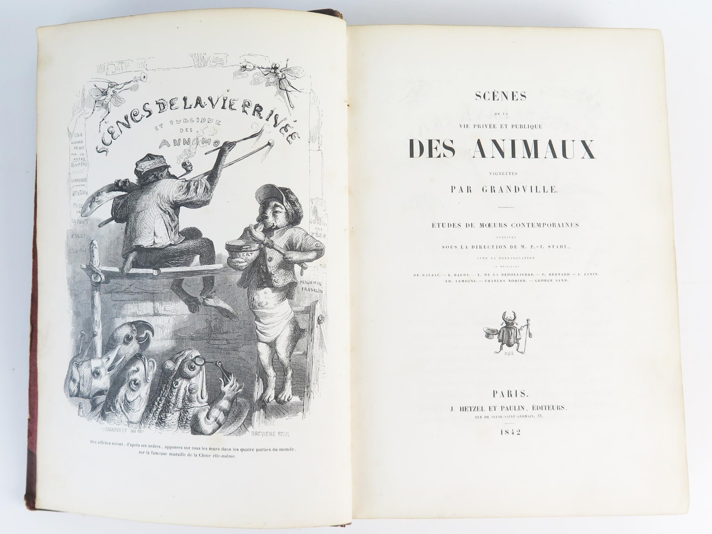 Des Animaux, J. Hetzel et Paulin 1842, three quarter leather and cloth boards