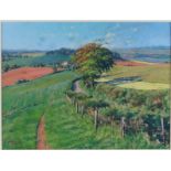 Agricultural Landscape, pastel, indistinct signature, framed & glazed, 53.5x47cm