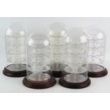 Five assorted glass and Perspex display domes, on turned and polished wood bases, each 30cm high.
