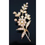 A 15ct Gold and untested pearl Spray Brooch, 54mm, 6.1g