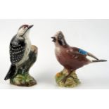 A Beswick pottery model of a Lesser Spotted Woodpecker and a Jay, both with black back stamps.