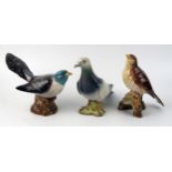 Three Beswick pottery bird ornaments including Pigeon, Thrush and Cuckoo.