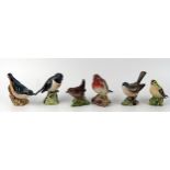 Six Beswick bird figurines, with black backstamps, includes, Wren, Goldcrest, Robin, Whitethroat,