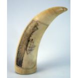 A scrimshaw whale tooth, decorated with three-masted man-o-war, off an island, 15cm long.