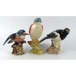 Three Beswick bird figurines including Kingfisher, Peregrine Falcon, and Magpie. (3).