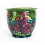 A Moorcroft pottery jardiniÃ¨re with 'Green Finch' decoration designed by Sally Tuffin, released