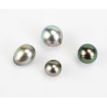 Four Undrilled untested Southsea Pearls, egg shaped 14.5x11mm, next largest 14x13mm