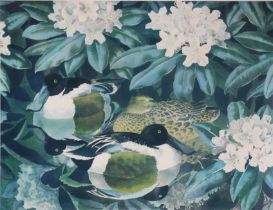 After C. F. Tunnicliffe, Mallard Ducks, polychrome print, signed in pencil to the margin by the