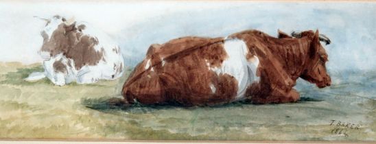 Thomas Baker (1809-1864) 'Recumbent cattle' watercolour, signed bottom right dated 1864, 7.5 x 21cm,