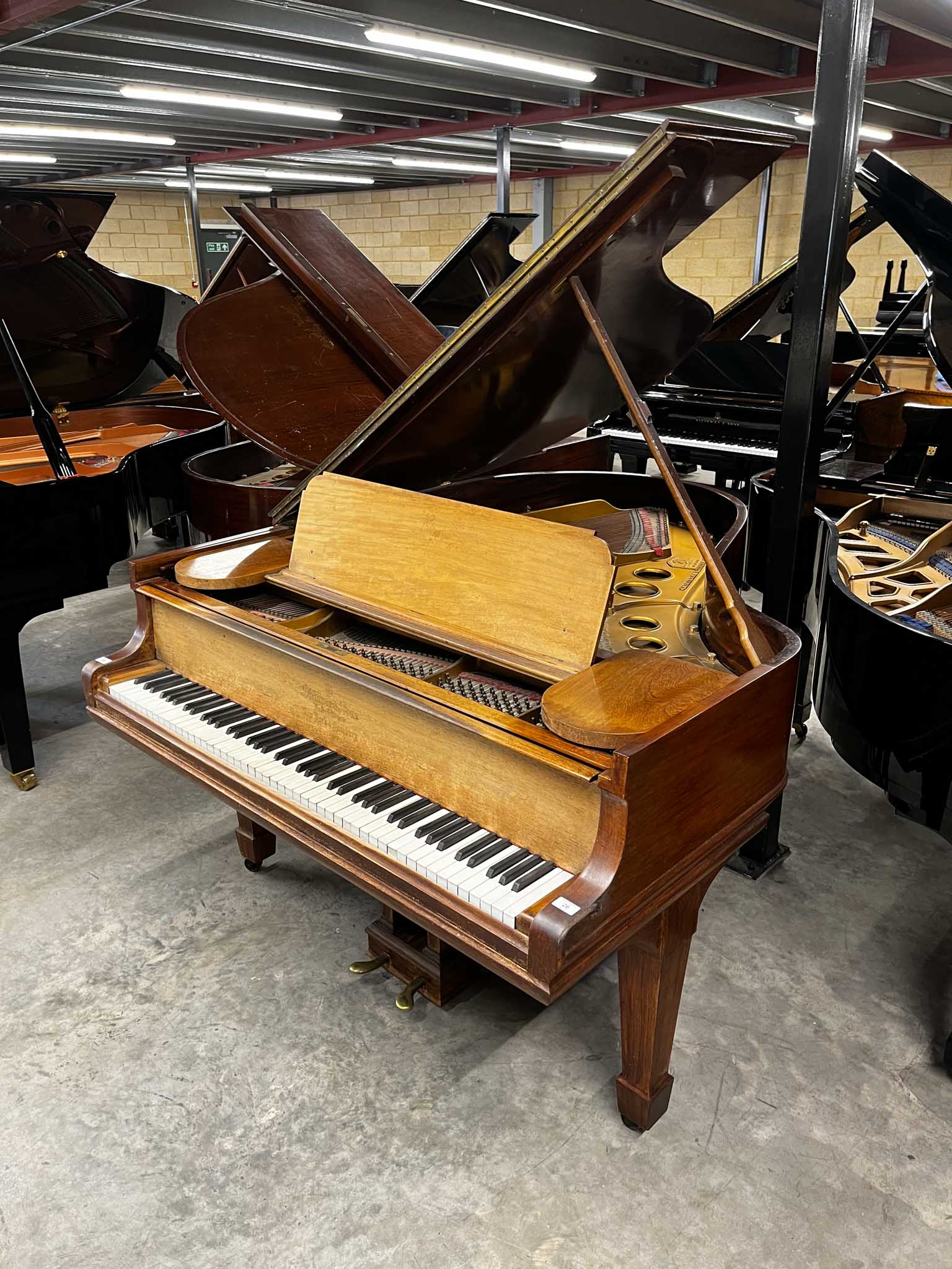 Steinway(c1906)