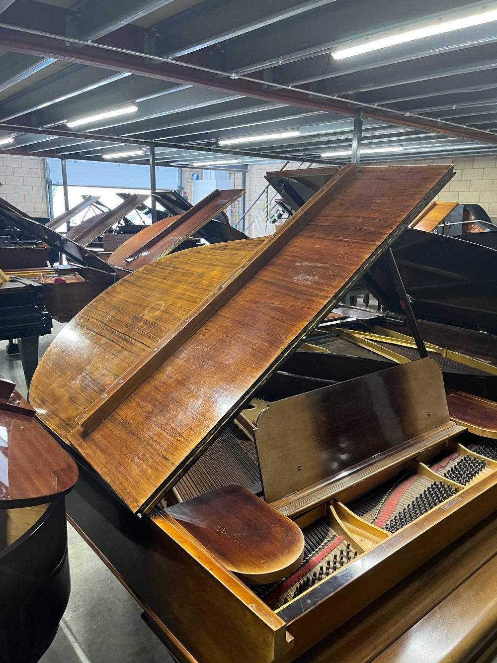 Steinway (c1904) A 5ft 10in Model O grand piano in a rosewood case on square tapered legs. IRN: - Image 7 of 9