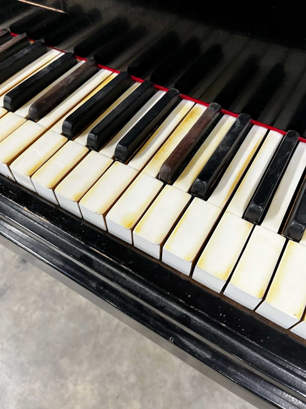 Bösendorfer (c1920) A 5ft 7in Model 170 grand piano in an ebonised case on square tapered legs. IRN: - Image 3 of 8