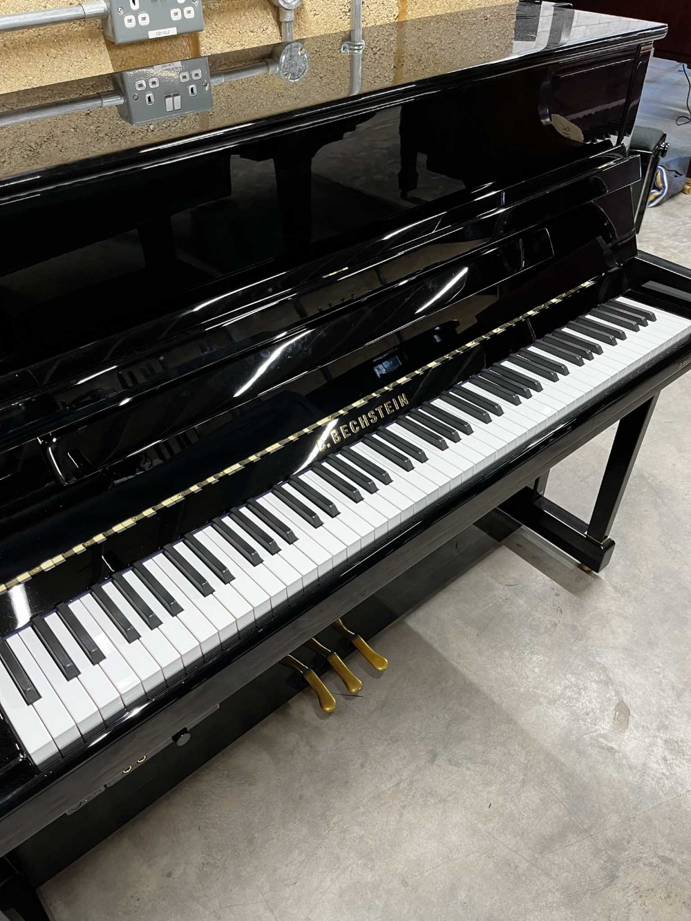 Bechstein (c2019) - Image 2 of 6