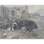 After John Sargent Noble (1848-1896), Sheep dog with sheep behind hurdle, monochrome print, signed