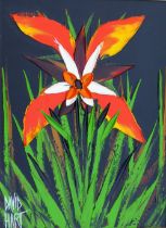 David Hart (b.1971 Australian), single flower study, acrylic on canvas, signed lower left, 40cm x