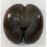 A coco der mer (Lodoicea Maldivica) nut/seed pod, carved and polished, 27cm x 26cm CONDITION REPORTS
