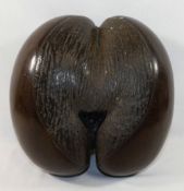 A coco der mer (Lodoicea Maldivica) nut/seed pod, carved and polished, 27cm x 26cm CONDITION REPORTS