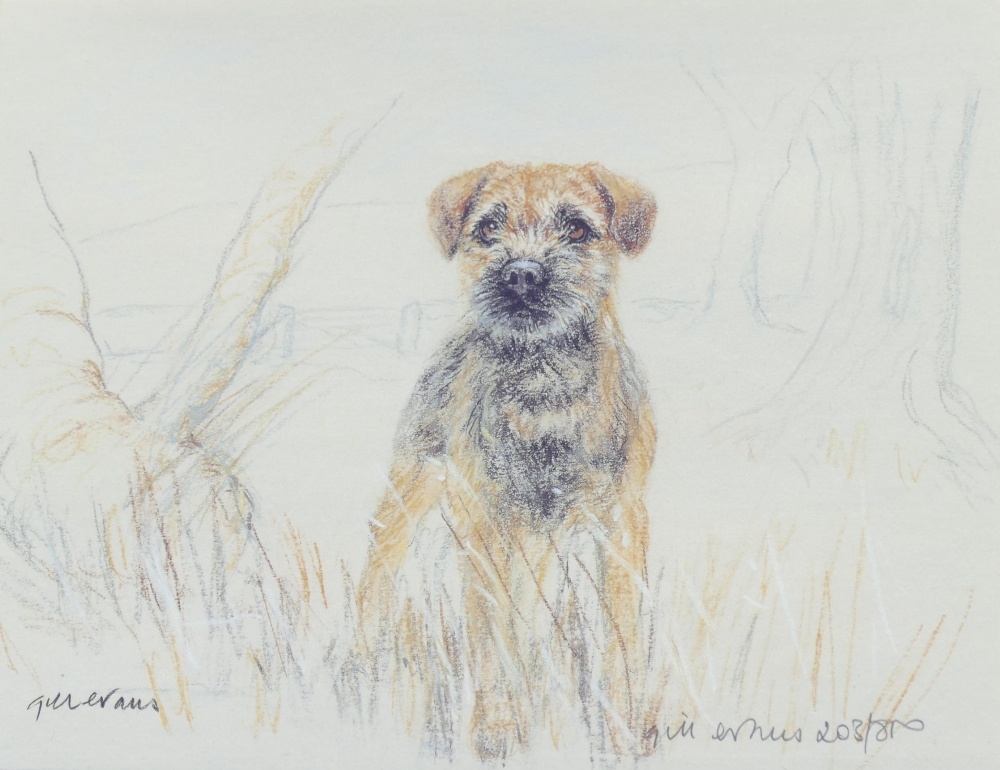 Gill Evans (b.1939), 'Black Labrador' and 'Border Terrier' two limited edition prints each signed - Image 9 of 10