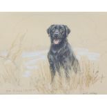 Gill Evans (b.1939), 'Black Labrador' and 'Border Terrier' two limited edition prints each signed