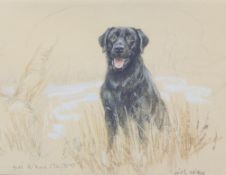 Gill Evans (b.1939), 'Black Labrador' and 'Border Terrier' two limited edition prints each signed