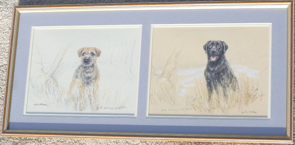 Gill Evans (b.1939), 'Black Labrador' and 'Border Terrier' two limited edition prints each signed - Image 10 of 10