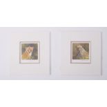 David Shepherd, 'Lion and Leopard' signed limited edition prints 465/1000 and 465/1000, both