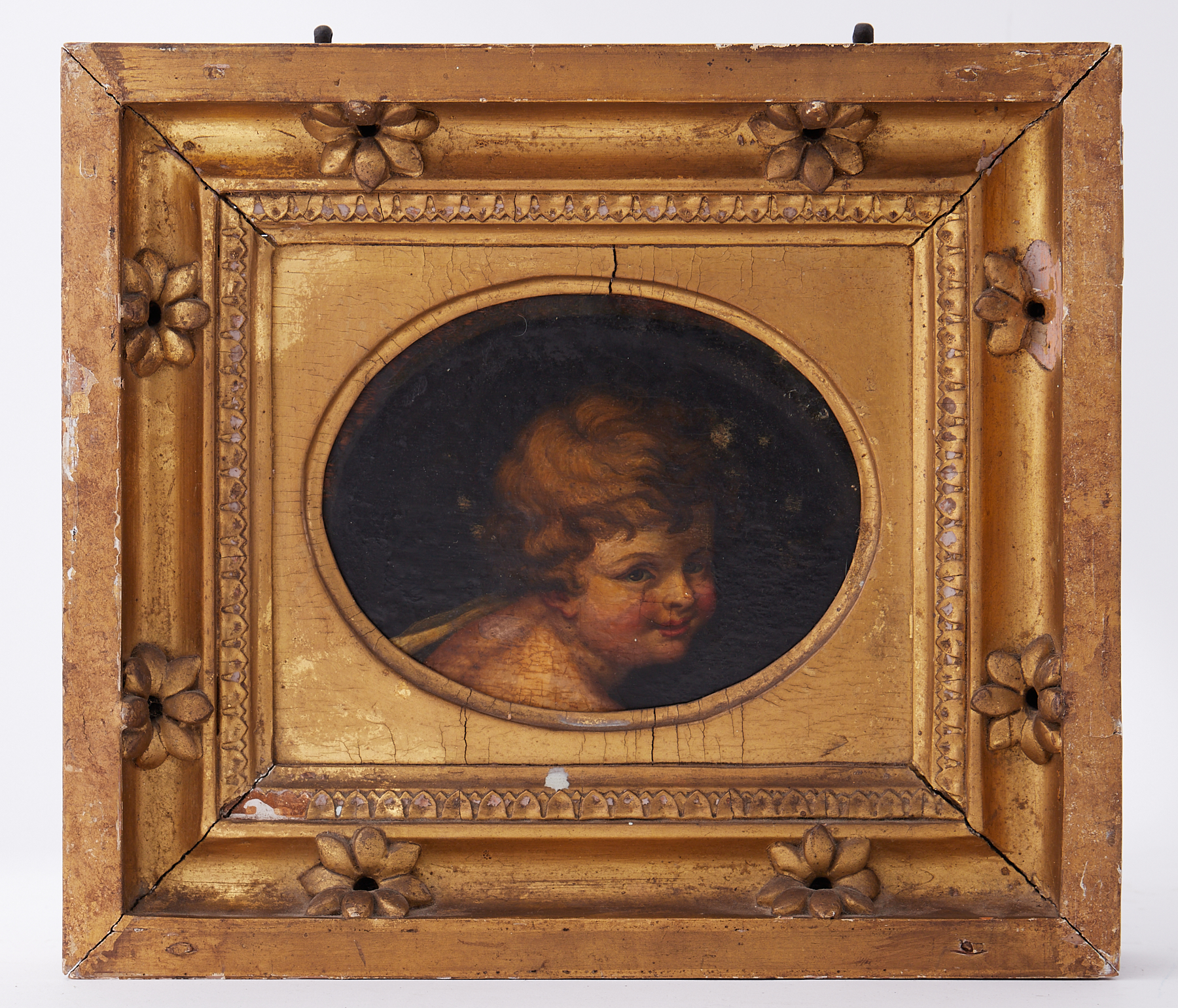 A 19th century oil on panel, study of a winged cherub in contemporary gilt frame, overall size