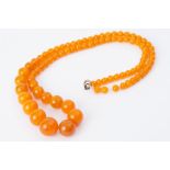 A string of 'amber' coloured graduated round beads, 22", 54.2gm.
