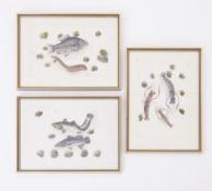 Three 19th century Chinese gouache paintings depicting Fish on pith paper, 26cm x 18cm, framed and
