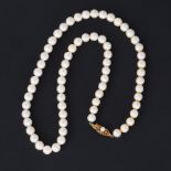 A string of cultured white pearls strung to a 9ct yellow gold ornate clasp set with a pearl, the