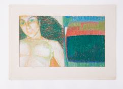 Window mounted ' Ginnie and Hitachi' 1980, pastel on paper, 44cm x 63cm, no backboard