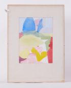 Perspex frame ' Garden, Lancaster' 1979, w/colour, 56cm x 41cm