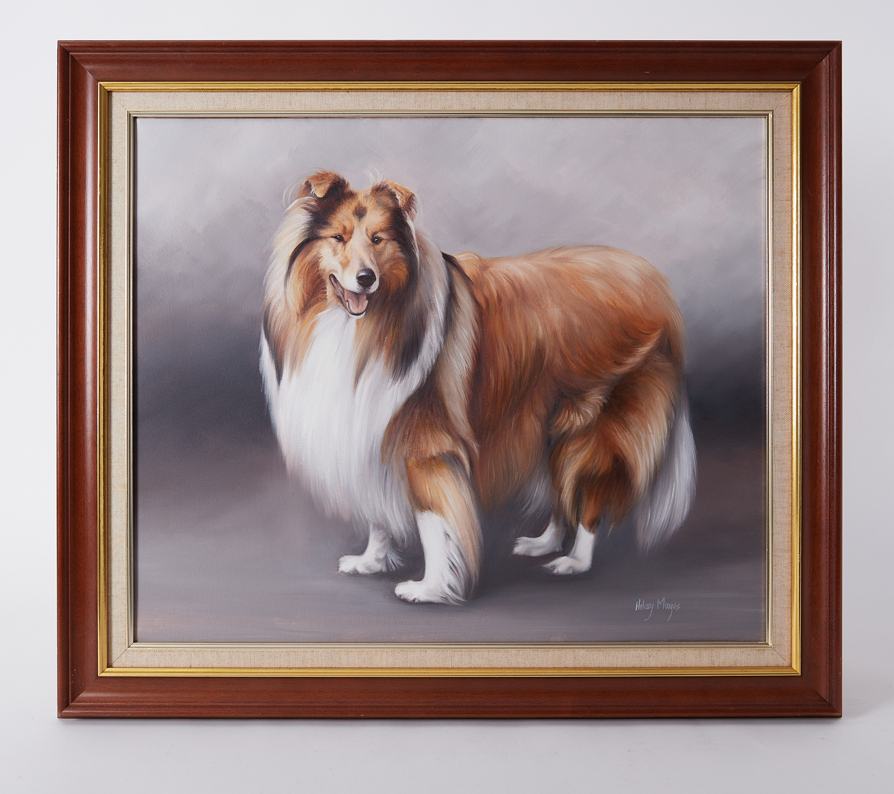 Hilary Moyes, oil on canvas 'Collie', 50cm x 60cm, framed.