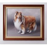 Hilary Moyes, oil on canvas 'Collie', 50cm x 60cm, framed.