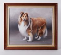 Hilary Moyes, oil on canvas 'Collie', 50cm x 60cm, framed.