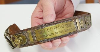 A Victorian leather dog collar with brass mounts, inscription 'Punch, Ratcatcher To Her Majesty',