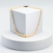 A 14" graduated cultured pearl necklace with a 9ct white gold clasp set with a round cut sapphire