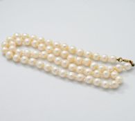 A 16" string of white cultured pearls, vary from 5.5mm to 5.8mm, 9ct yellow gold bolt ring clasp,