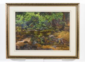 W.H. Pike (1846-1908), a signed watercolour possibly 'Shaugh Bridge', 21cm x 30cm, framed and