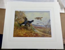 Archibald Thorburn (Scottish 1860-1935) 'Grouse in Flight' dated 1922, limited edition print 38/500,