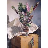 Robert Lenkiewicz (1941-2002) 'Still Life - Plant' print on canvas, with certificate of