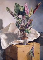 Robert Lenkiewicz (1941-2002) 'Still Life - Plant' print on canvas, with certificate of