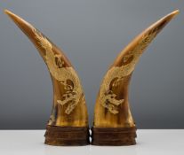 A pair of Japanese carved water buffalo horns. Each finely carved with a ferocious scaly dragon, the