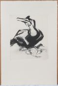 Kim Atkinson, Cormorant, signed limited edition print 5/6. (26cm x 29.5cm) This artwork is being