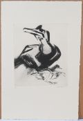 Kim Atkinson, Cormorant, signed limited edition print 4/6. (26cm x 29.5cm) This artwork is being