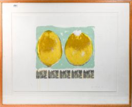 Unidentified signature, signed limited edition print 5/11, two lemons, Framed. (76cm x 56cm) This