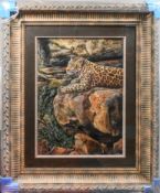 David A Scott, original oil 'Leopard on Rocks' glazed in a ornate heavy frame, overall size 120cm